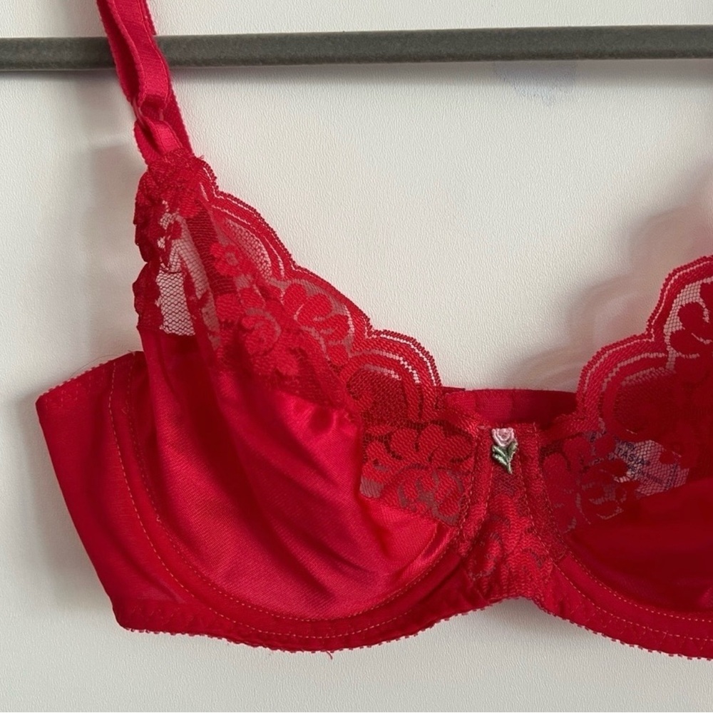 Vintage 90s JCPenney Fantasia Red Lace Underwire Bra Size 34C Romantic Lingerie - Picture 2 of 8